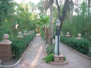 DSCN9017.JPG.w300h225