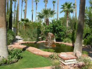 DSCN9033.JPG.w300h225